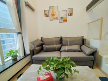 金汇之城 1室1厅1卫 36.00m² 2300元/月