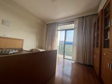 鸣翠桃源（公寓住宅） 3室2厅2卫 133.00m² 220万