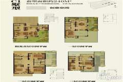 万科公望 4室2厅3卫 298.00m² 700万