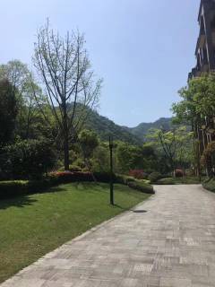 水印林语(别墅) 5室2厅5卫 235.60m² 385万