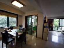 鸣翠桃源（公寓住宅） 3室2厅2卫 131.62m² 250万