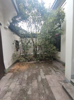 九龙一号 4室2厅3卫 365.96m² 620万