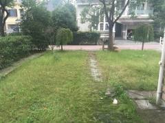 新西湖花园 4室3厅3卫 300.00m² 1900万