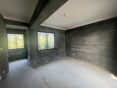 九龙一号 4室2厅3卫 312.00m² 600万