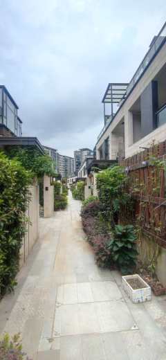 云栖玖著(别墅) 4室2厅3卫 125.87m² 520万