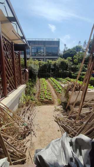 大有清竹蓝庭(别墅) 4室2厅3卫 222.81m² 430万