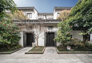 九龙一号 3室2厅3卫 310.95m² 400万