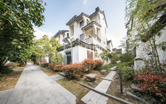 九龙一号 4室2厅4卫 336.95m² 660万