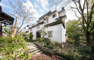 九龙一号 5室3厅3卫 310.00m² 570万