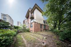 逸城别墅 4室2厅4卫 233.04m² 600万