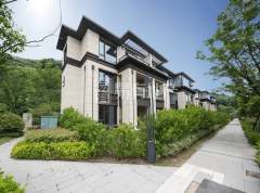 清源上林湖(别墅) 4室2厅4卫 162.07m² 376万