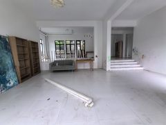 九龙山庄(别墅) 4室2厅3卫 287.23m² 13000元/月