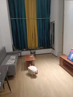 金汇之城 1室1厅1卫 38m² 2000元/月