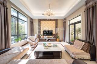 金都富春山居(别墅) 4室2厅5卫 238.41m² 860万