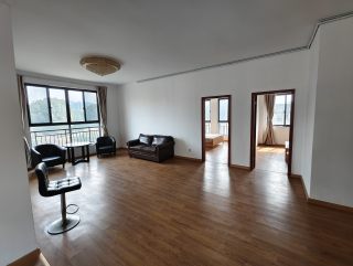 梓树花苑(公寓住宅) 4室2厅2卫 150.00m² 3200元/月