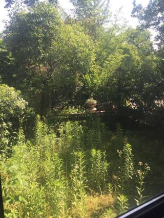 逸城别墅 4室3厅3卫 221.93m² 435万