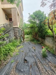 清源上林湖(别墅) 4室3厅3卫 236.00m² 680万