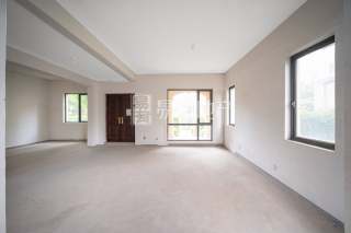 野风山小镇 5室3厅2卫 423.66m² 850万