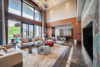 云水山居(别墅) 5室2厅4卫 450.00m² 1700万