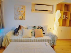 银湖科技园 2室1厅1卫 41.34m² 2100元/月