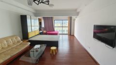 乐汇城 1室1厅1卫 54.01m² 1600元/月