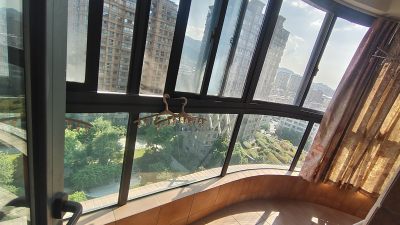 房源图