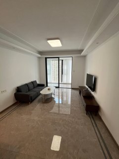 云望之宸 1室1厅1卫 90.00m² 2500元/月