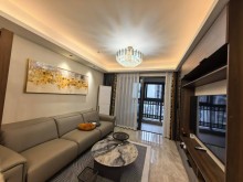 西郊半岛(公寓住宅) 3室2厅2卫 91.88m² 3000元/月