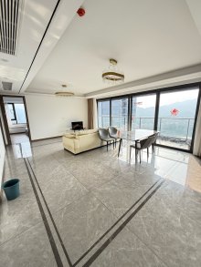 银湖宸语 4室2厅2卫 143.59m² 4500元/月
