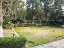 绿城七里香溪 4室2厅2卫 339.00m² 18000元/月