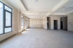 山水·阳珀别院 4室2厅4卫 280.00m² 828万