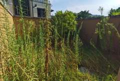万科君望别墅 4室2厅4卫 164.39m² 570万