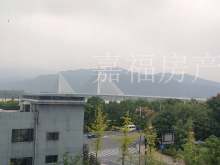 鹿山时代 1室 206m² 450万