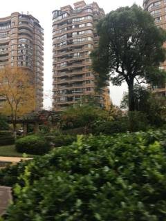 泊金湾 3室2厅2卫 135m² 315万