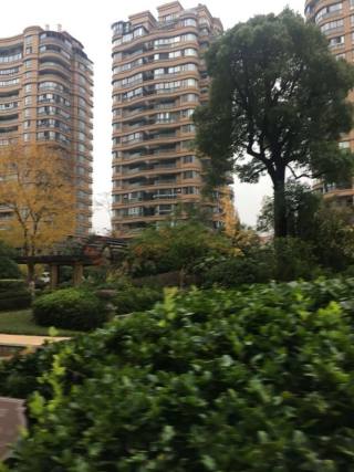 泊金湾 3室2厅2卫 135m² 315万