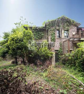 清源上林湖(别墅) 4室2厅4卫 253.00m² 715万