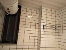 篁外 4室2厅3卫 330m² 3000元/月