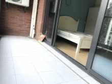 篁外 3室2厅2卫 253.25m² 3000元/月