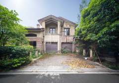 清源上林湖(别墅) 4室3厅3卫 250.00m² 650万