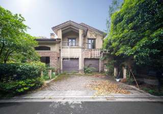 清源上林湖(别墅) 4室3厅3卫 250.00m² 700万