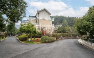 大有清竹蓝庭(别墅) 4室2厅2卫 224.95m² 500万