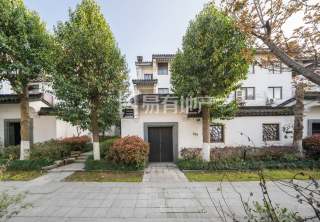 九龙一号 4室2厅3卫 334.35m² 615万