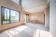 清源上林湖(别墅) 4室2厅4卫 161.11m² 380万