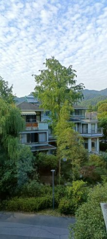 云河福邸山庄(别墅) 4室2厅2卫 201.00m² 559万