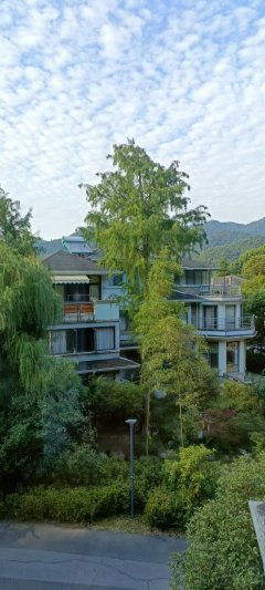 云河福邸山庄(别墅) 4室2厅2卫 201.00m² 559万